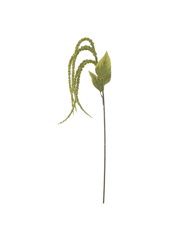 Bloomingville Foxtail