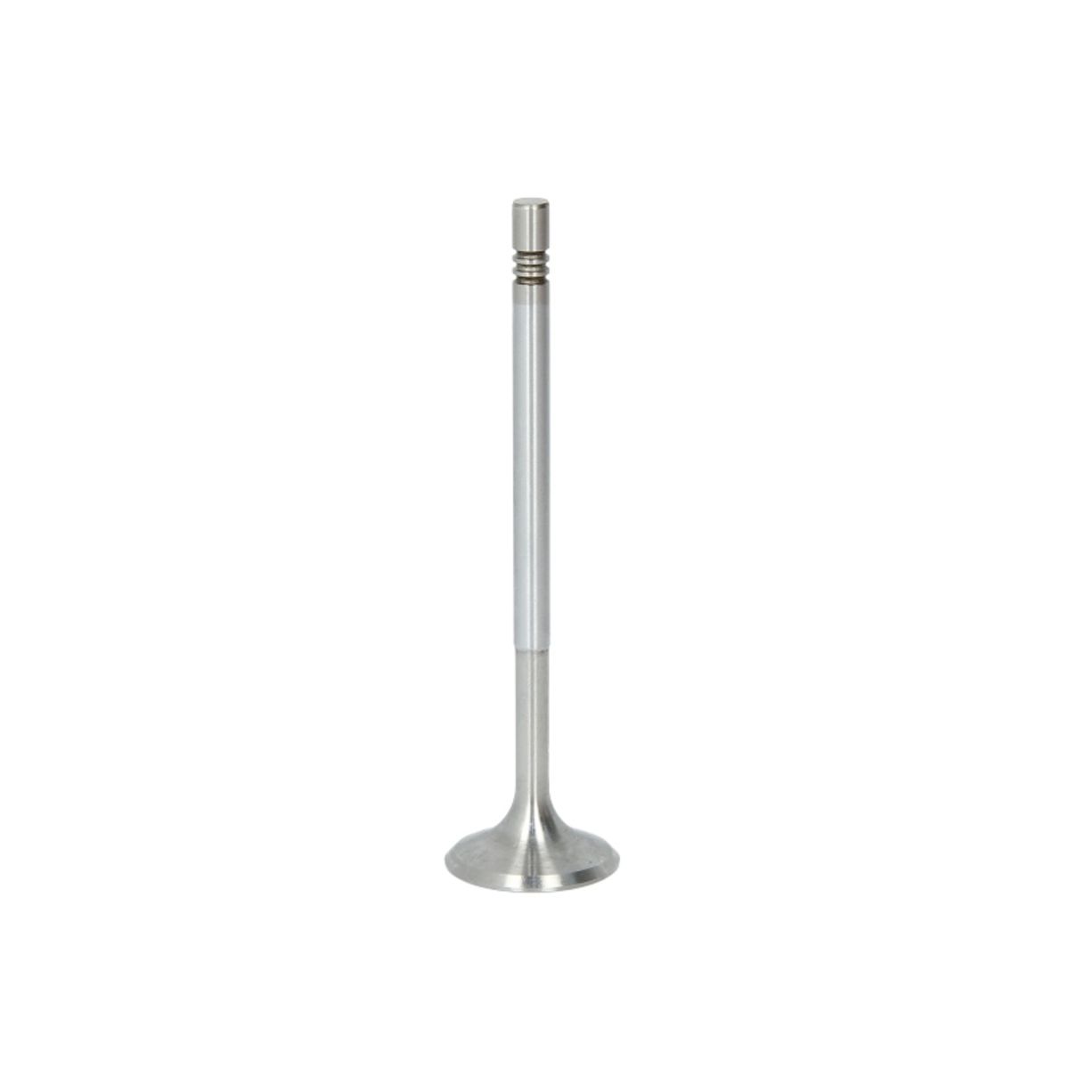 Imuventtiili FRECCIA R6755/SCR