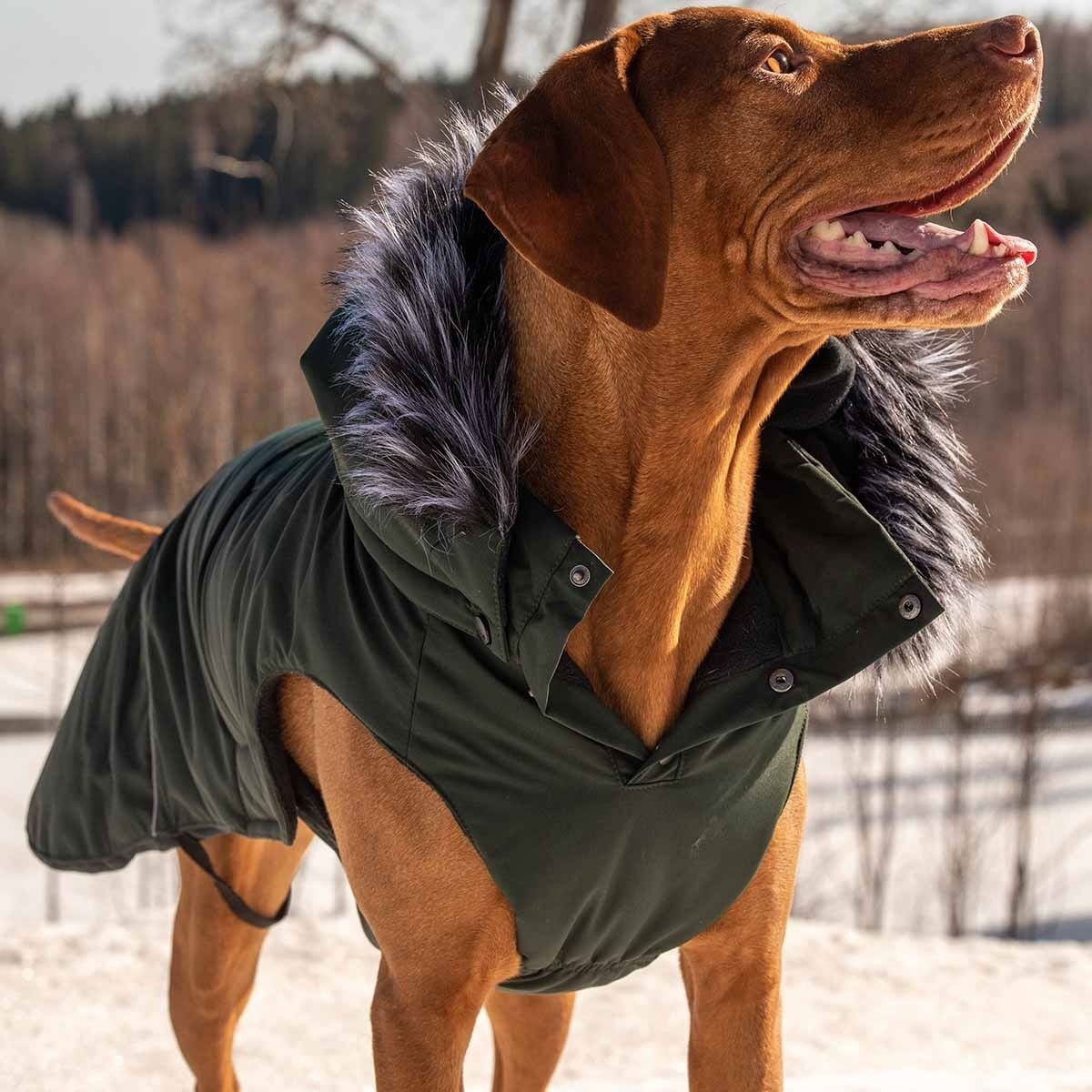 Rukka Frostbiter parka, tummanvihreä
