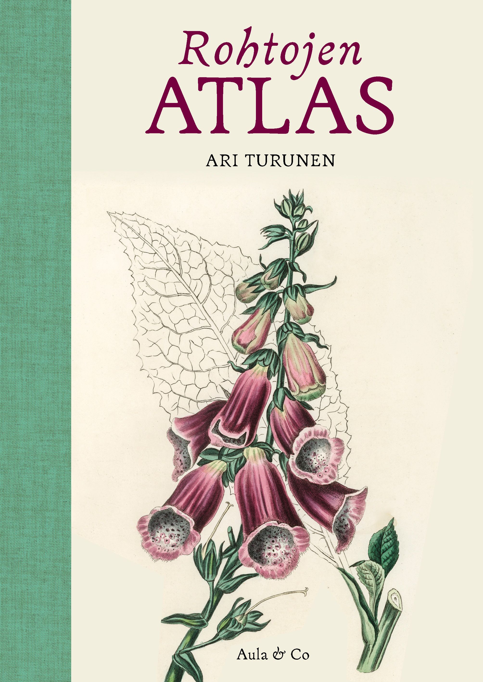 Rohtojen atlas