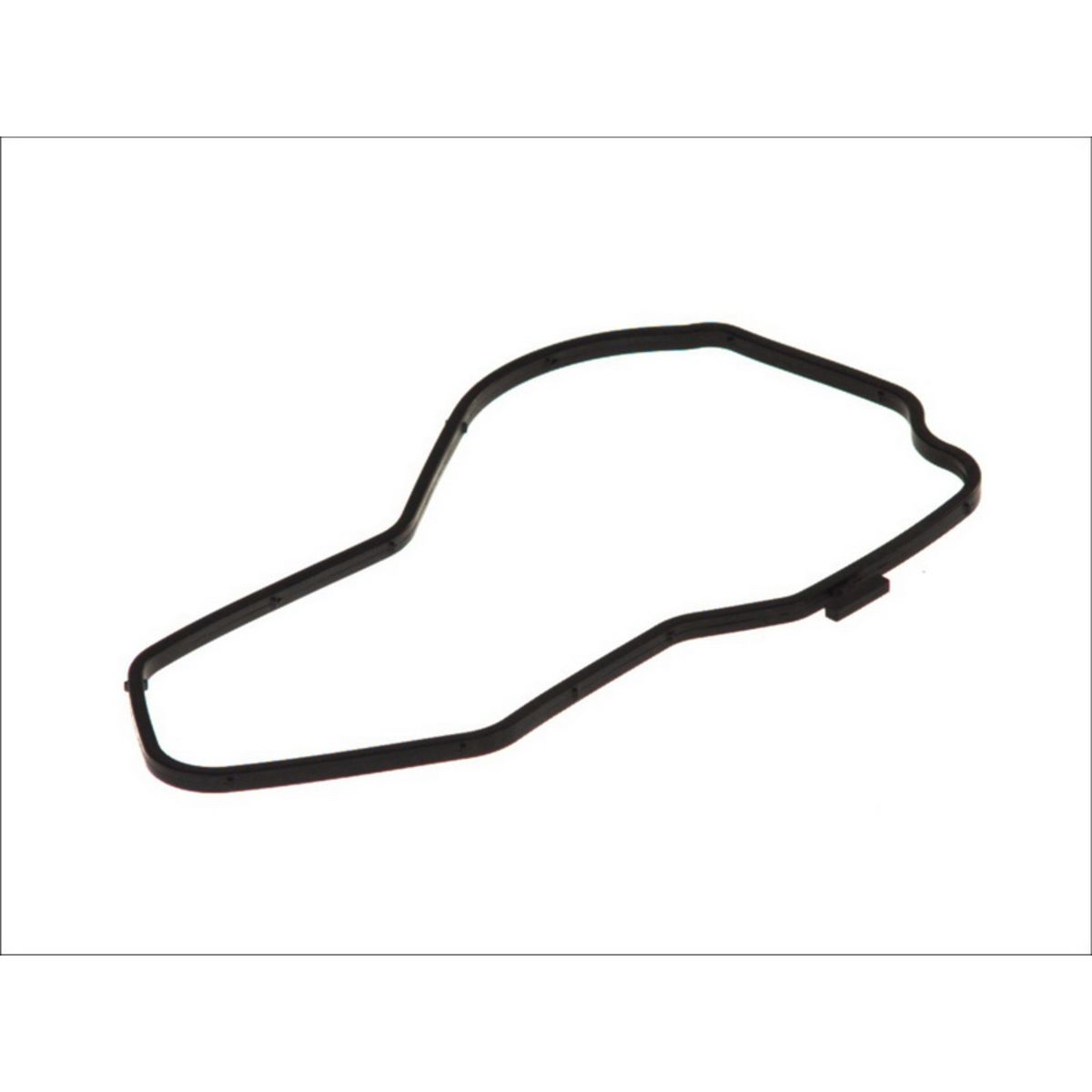 Tiiviste, vesipumppu DT Spare Parts 1.24217