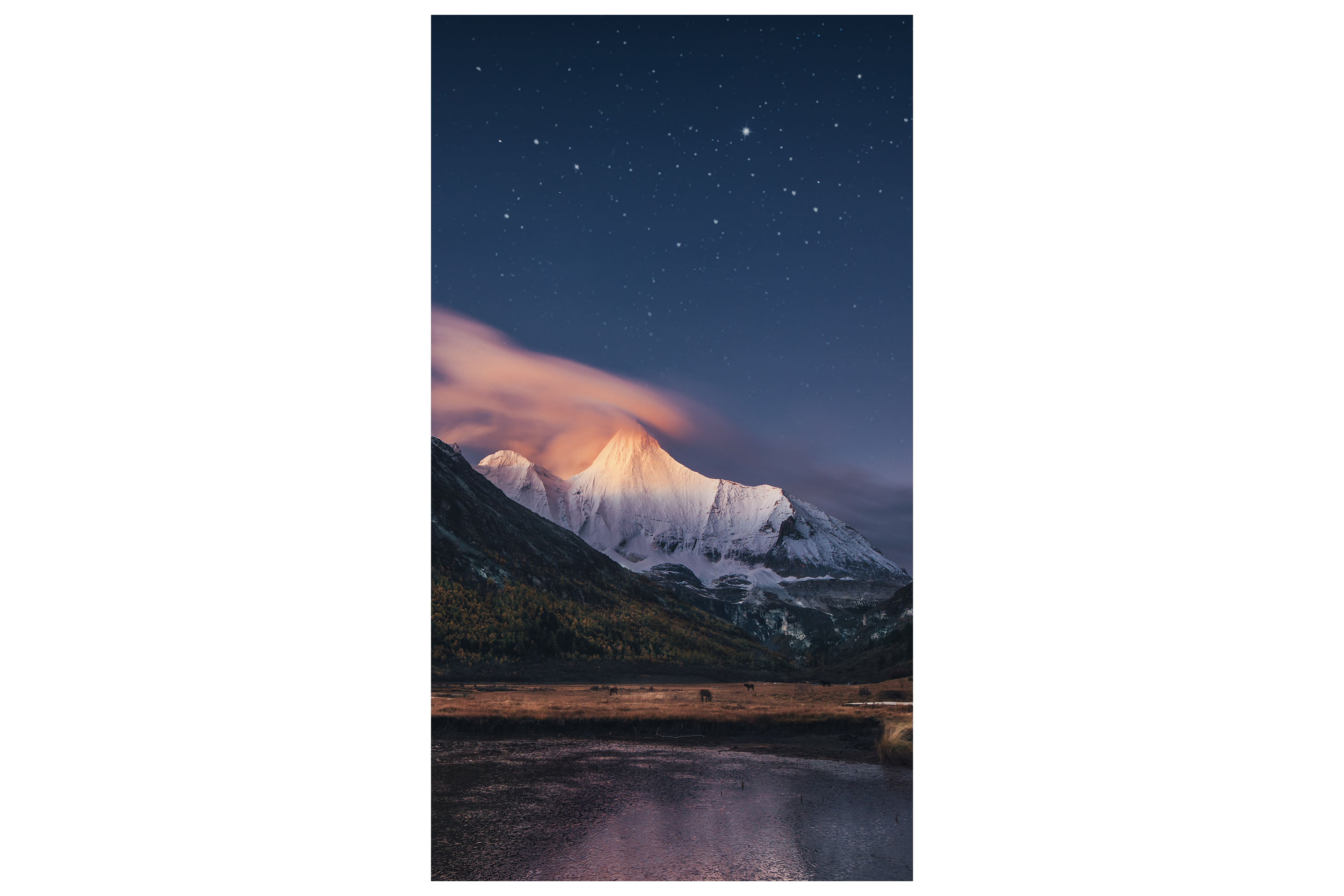 Samsung Vm55c-r 24/7 55" Ips 500cd/m2 1920 × 1080pixels