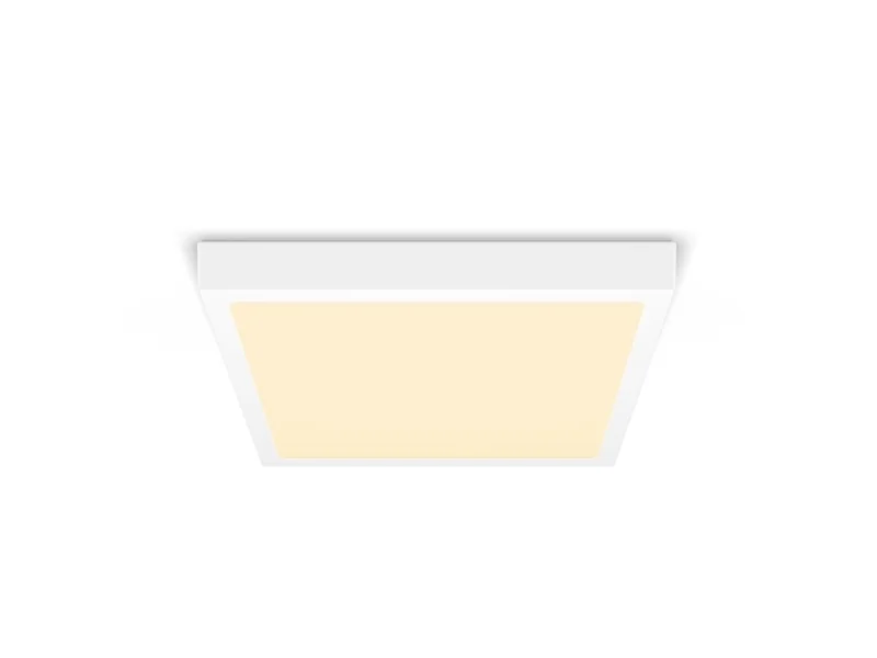 Philips MAGNEOS SF DL252 SQ 284 20W 27K WH 06