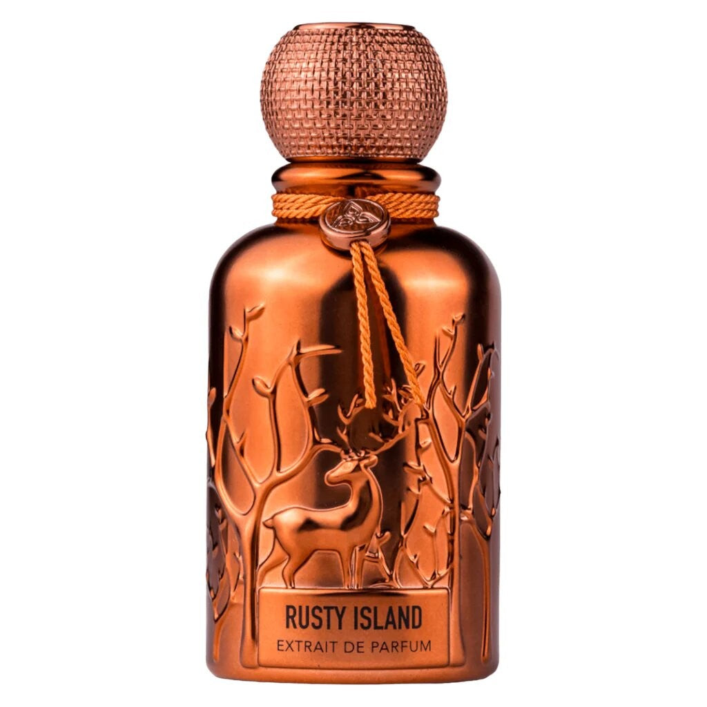 Auraa desire Rusty Island Extrait de Parfum miehille 100 ml