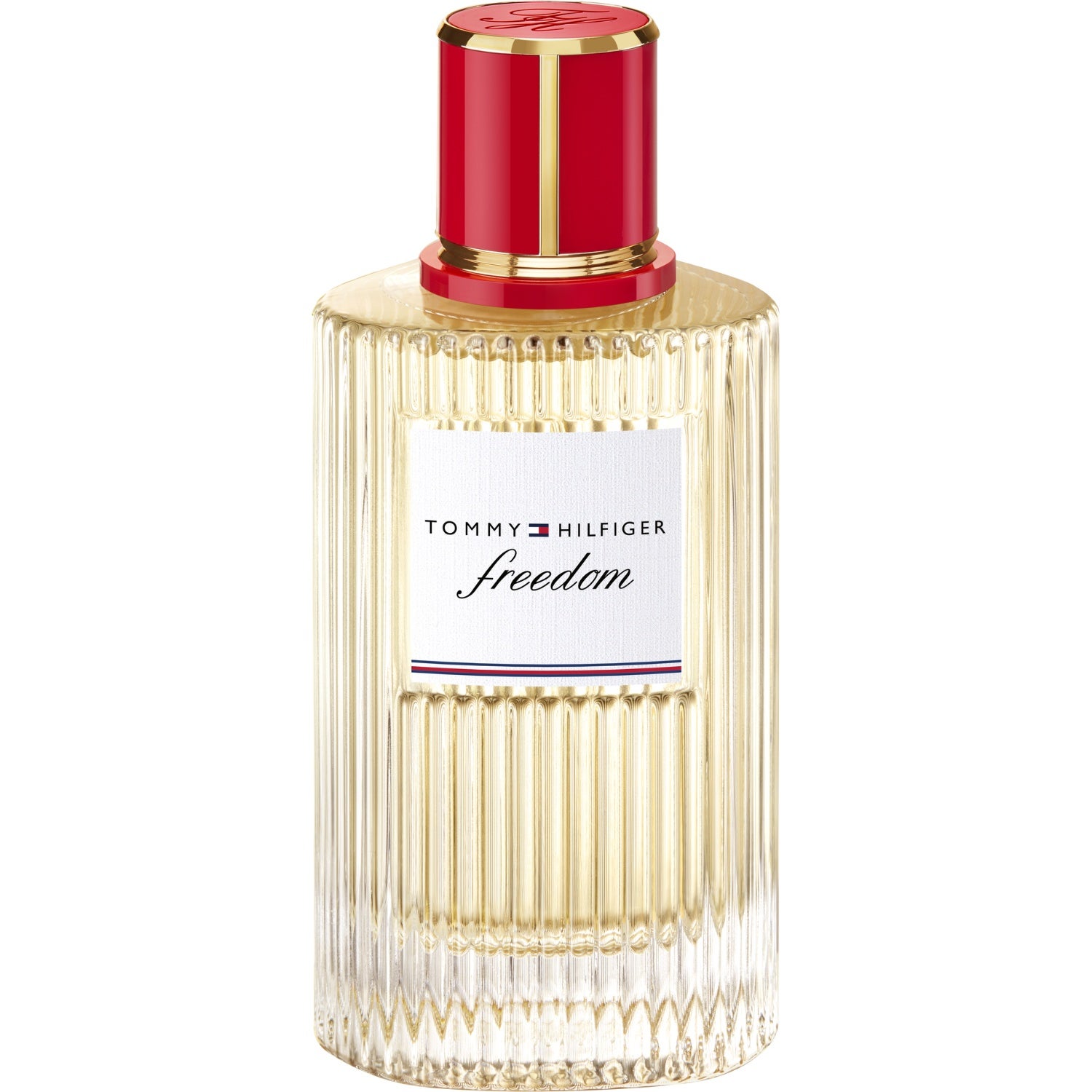 Tommy Hilfiger Freedom Eau de Parfum - 100 ml