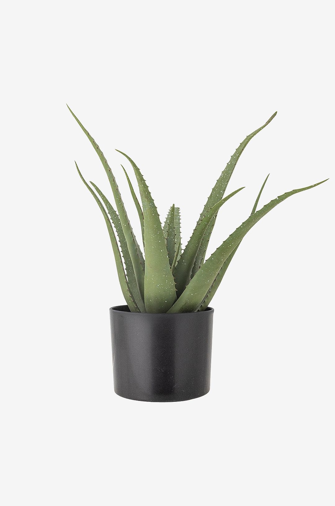Bloomingville Aloe