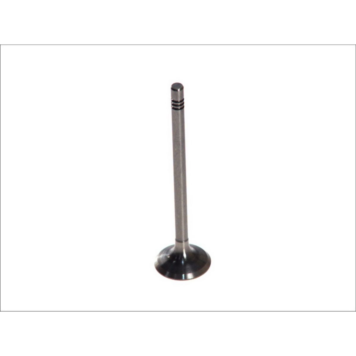 Pakoventtiili AMP PVWG040-A-0-N