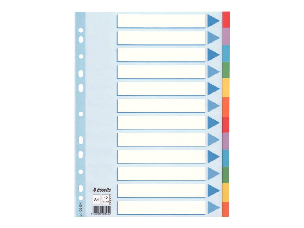 Esselte - divider - 12 parts - for A4 - tabbed